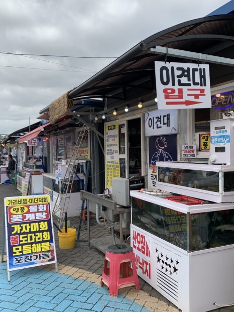 달밤고래 이미지