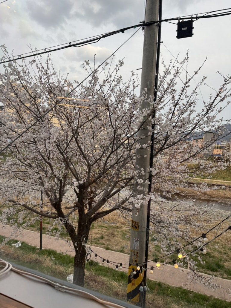 핏제리아안티코 이미지