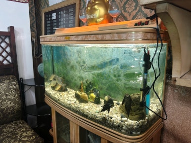 세븐다방 이미지