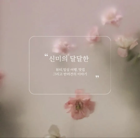 티암 이미지