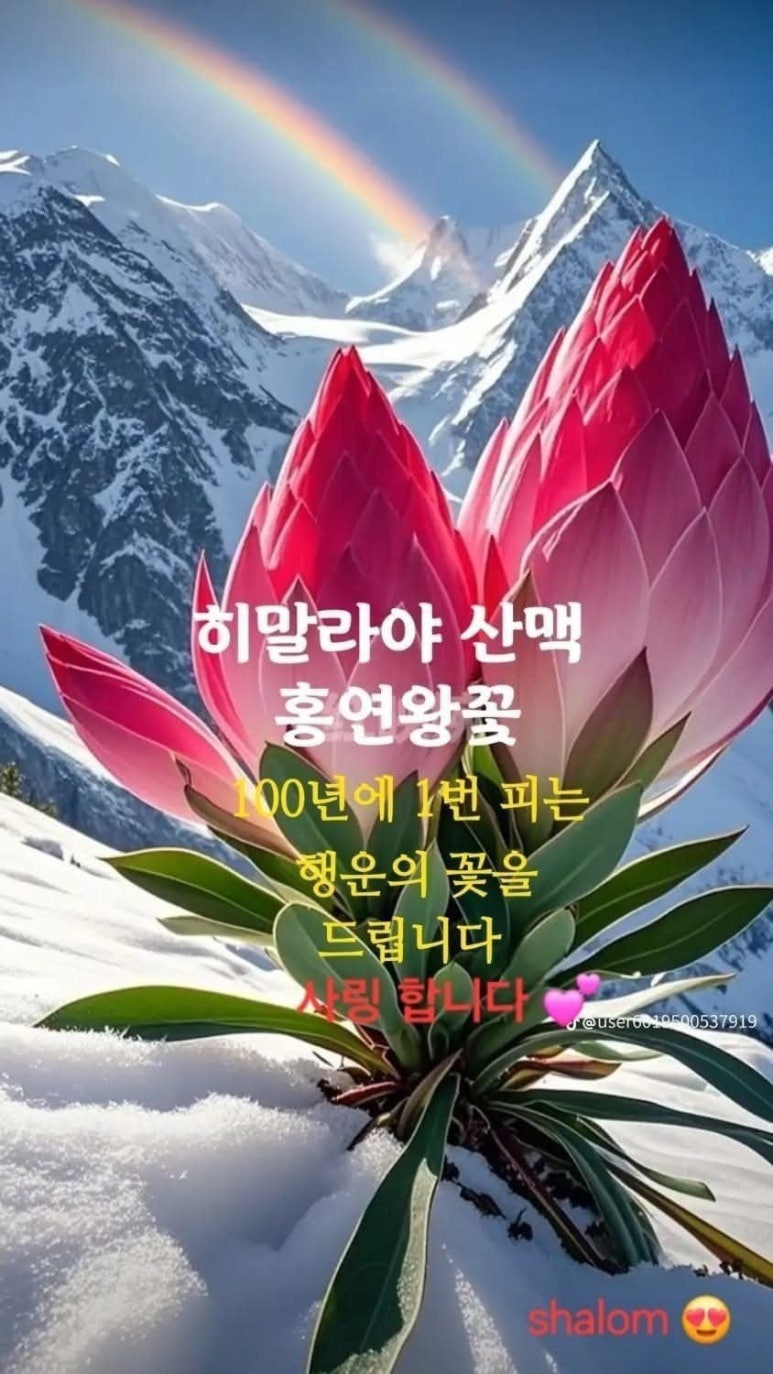 수지상사 이미지