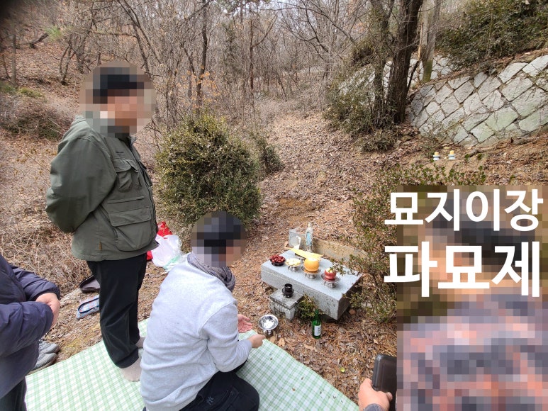 대성장묘 이미지