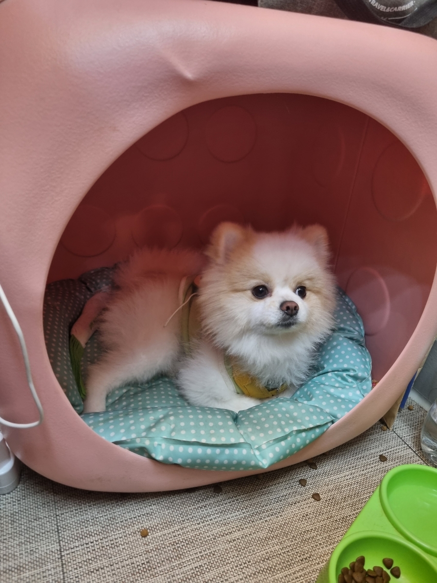 디톤헤어상일동역점 이미지