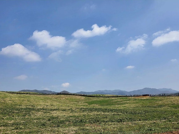 서산한우 이미지