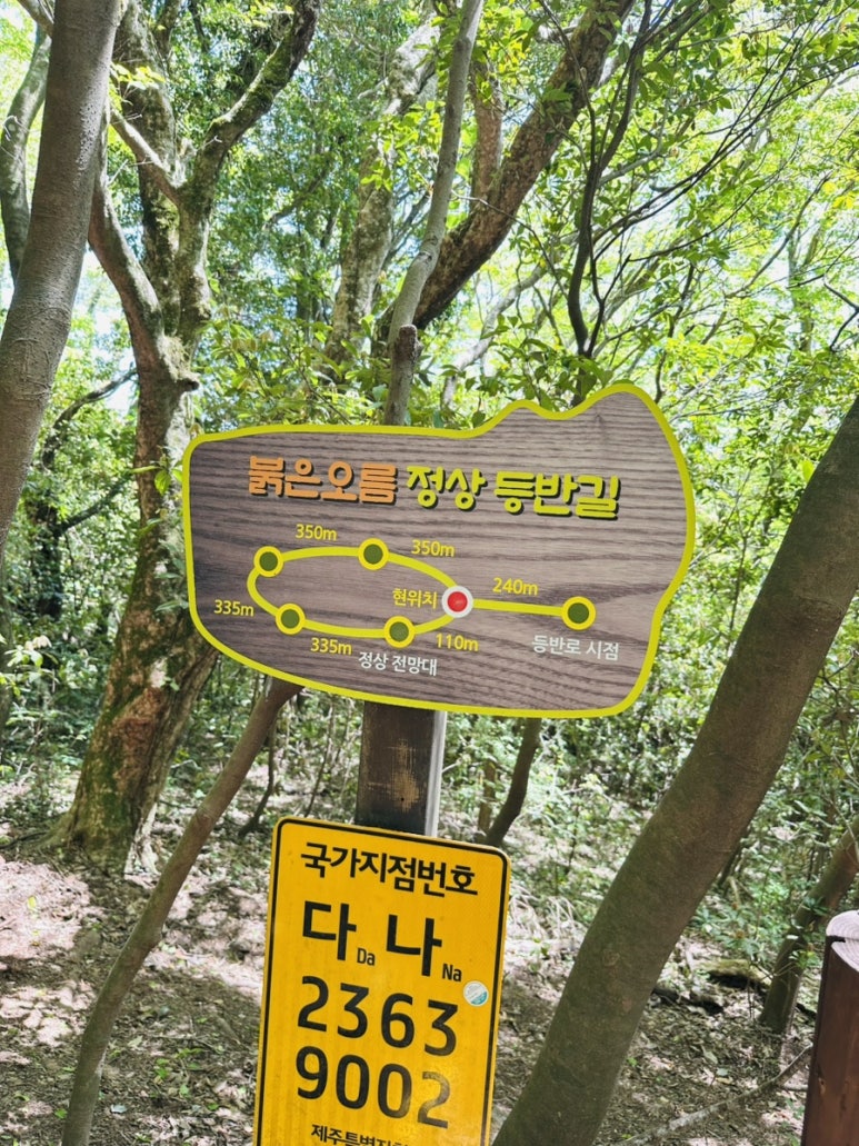 붉은오름자연휴양림 이미지