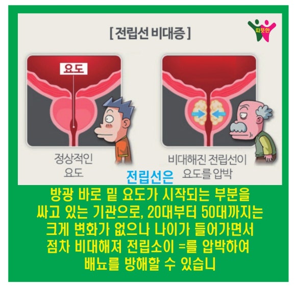 단원요양보호사교육원 이미지