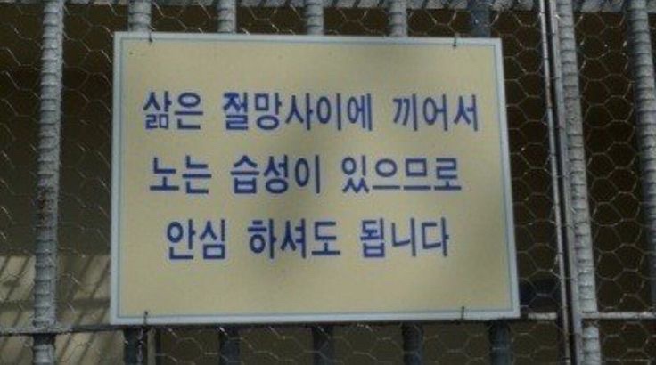 희월 이미지