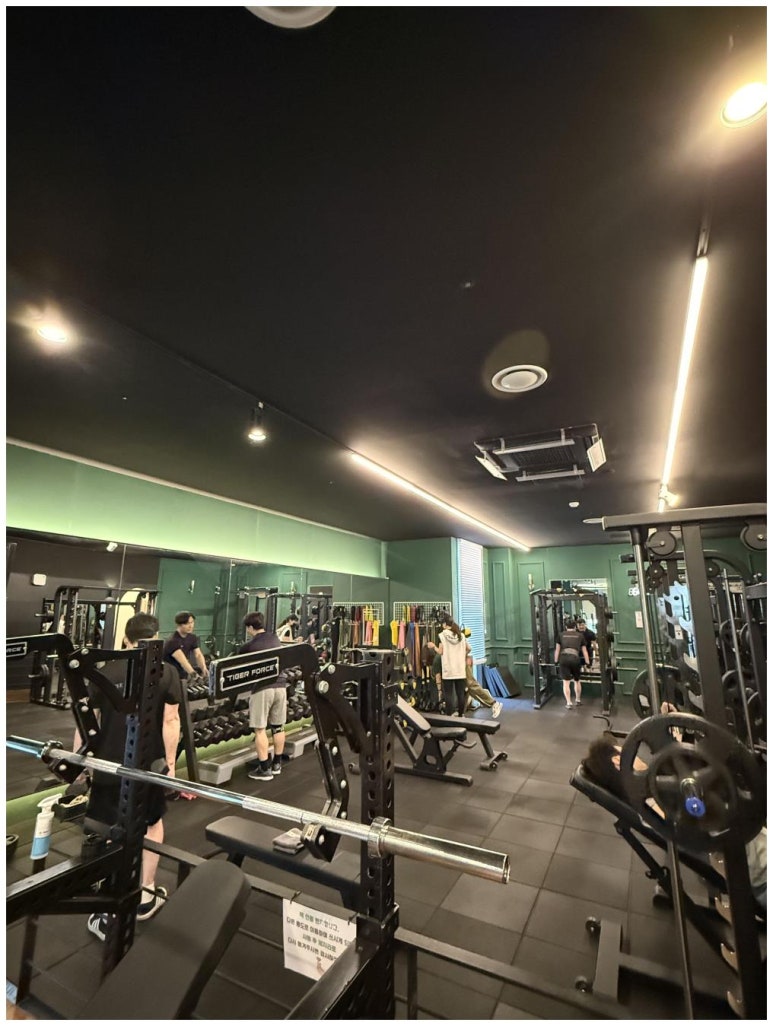 더리얼휘트니스 이미지