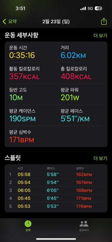 비벨라핏 이미지