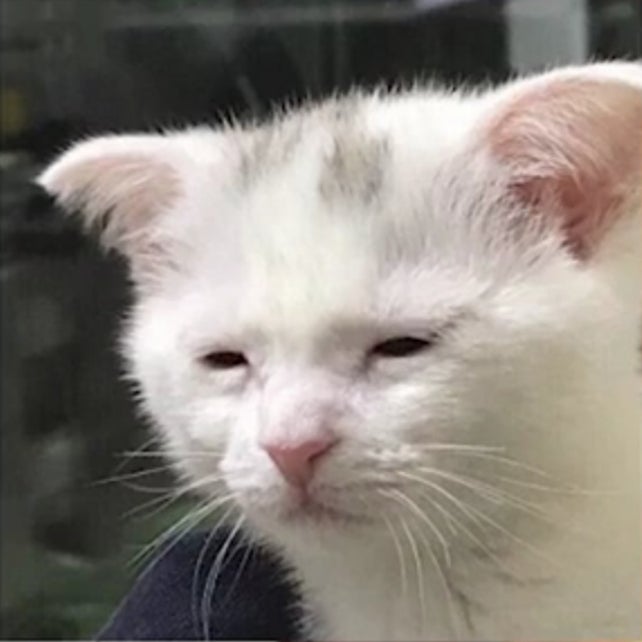 김가네까페 이미지