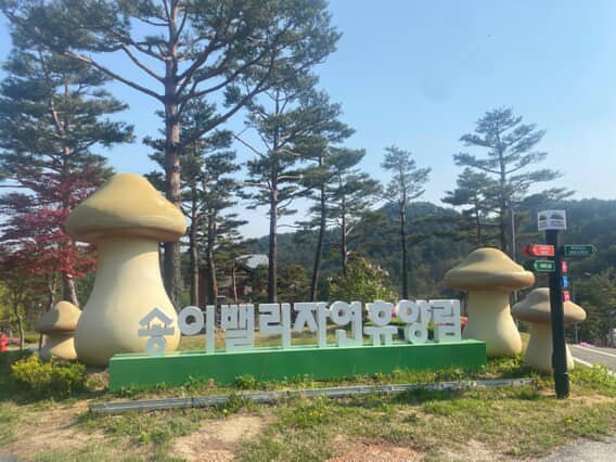 레포밸리 이미지