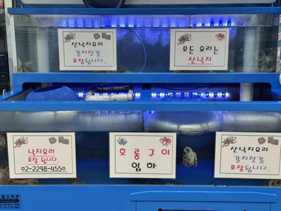 다현목포낙지 이미지