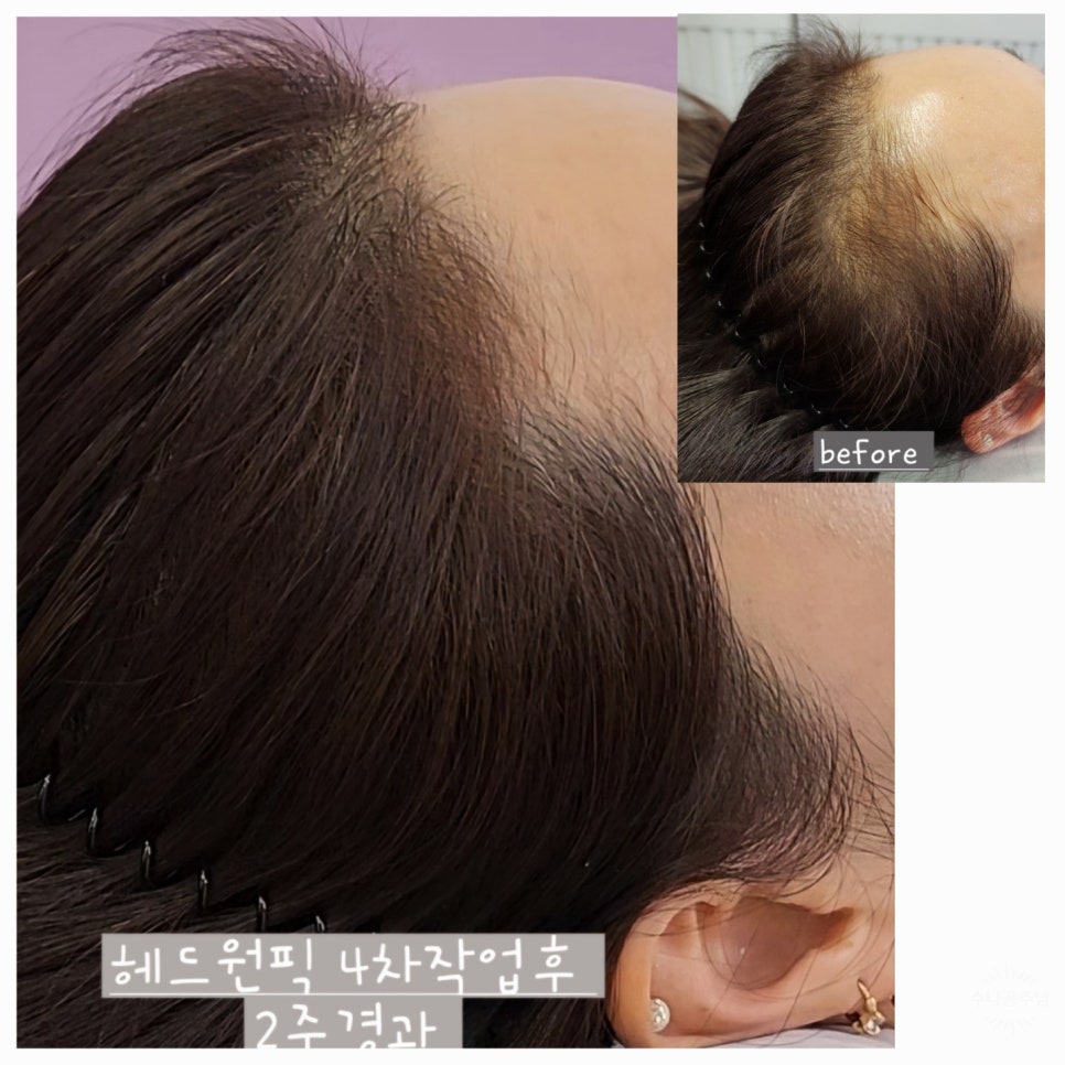 릿따 스타일 이미지