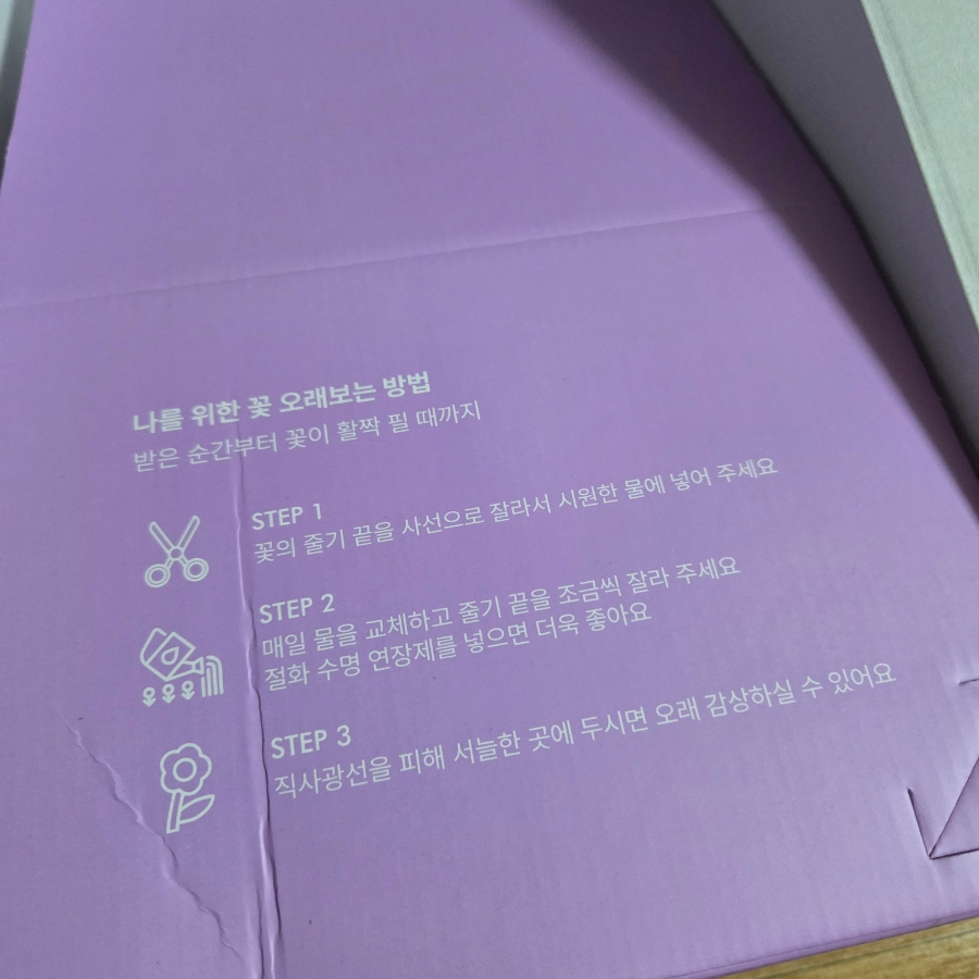 스노우폭스 이미지