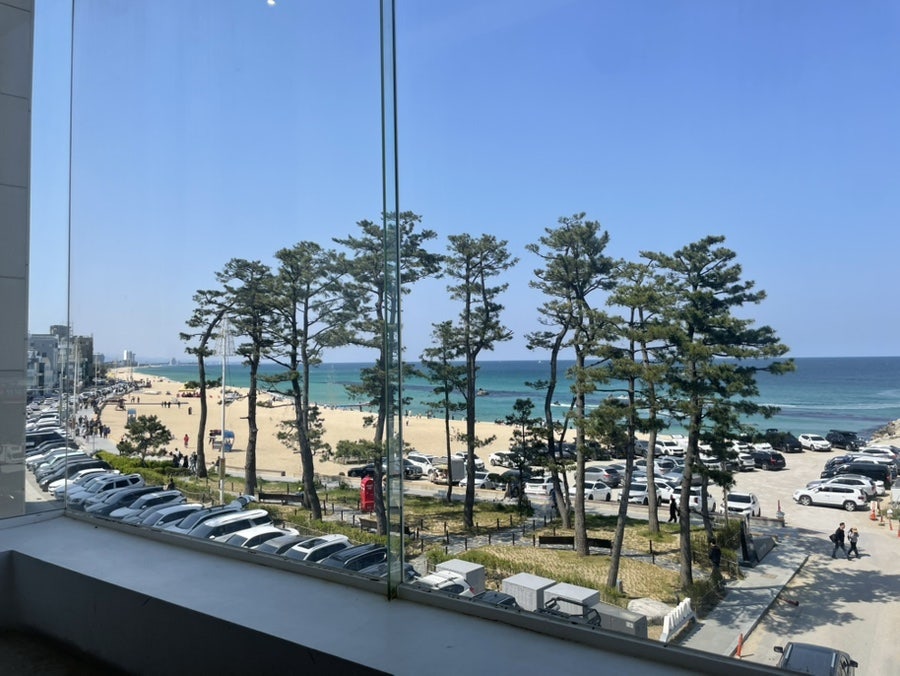 로지커피 이미지