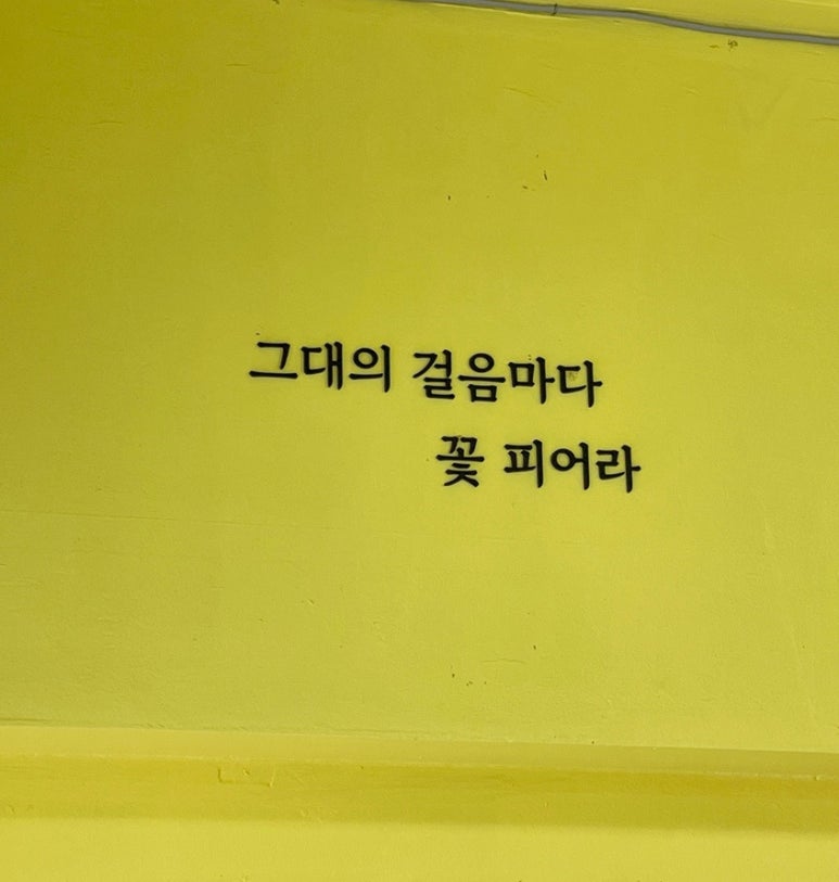 코스트노쉬 이미지