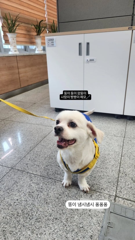 먹자 이미지
