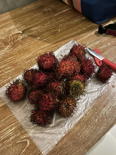 발리라이브 이미지
