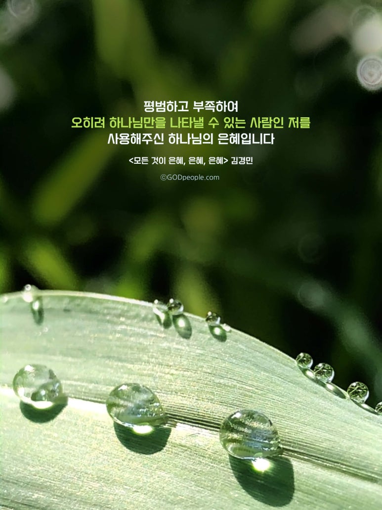 어여쁘다 이미지
