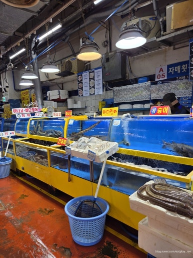 자매농수산 이미지