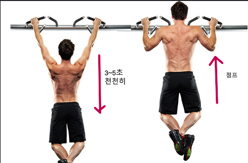 꽃과정 이미지