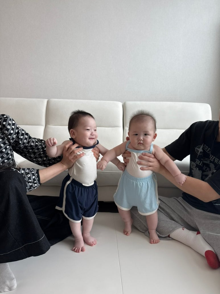 꼬알라파이 이미지