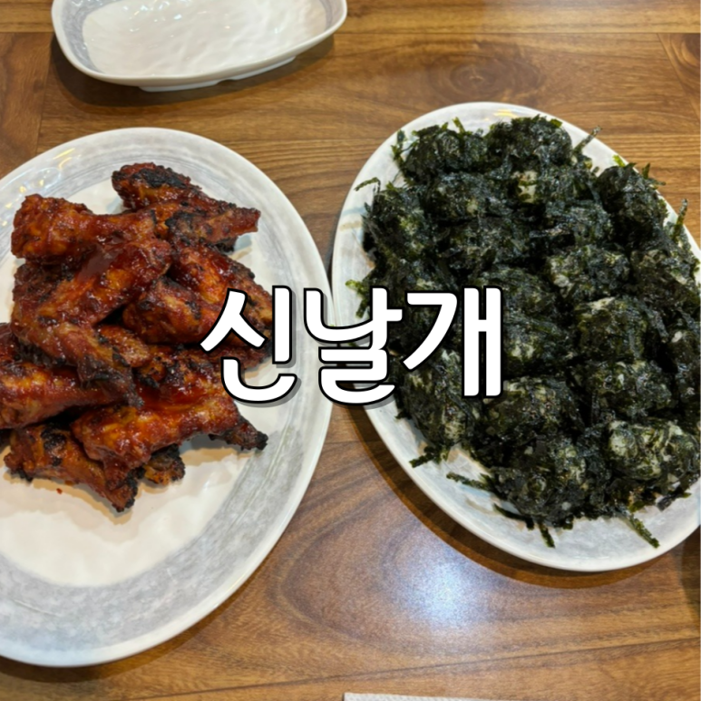 신날개 이미지
