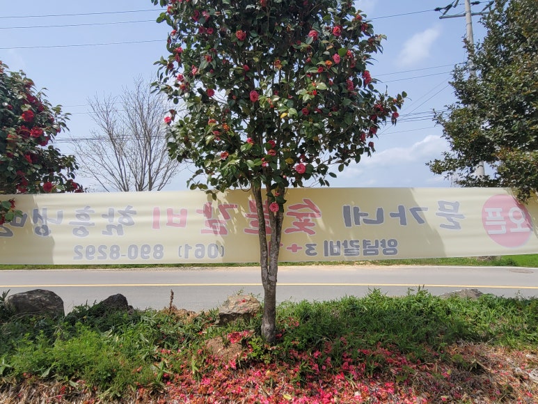 문가네숯불갈비 이미지