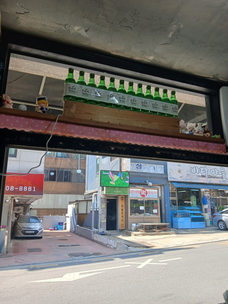 난스시 사진 5