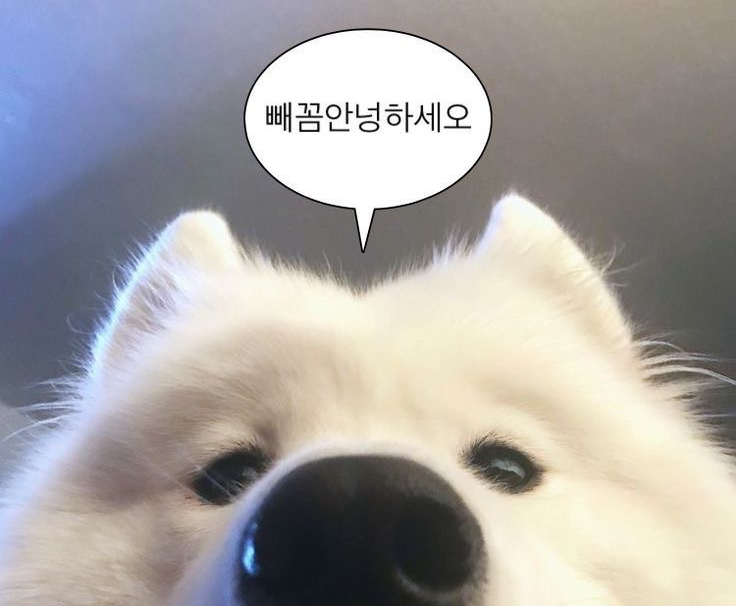 프레이즈음악학원 이미지