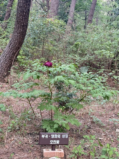 한성복집 이미지