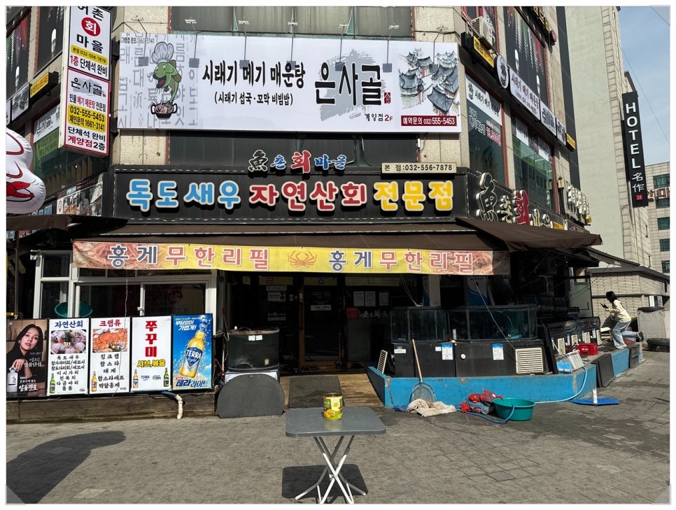 어촌회마을 이미지