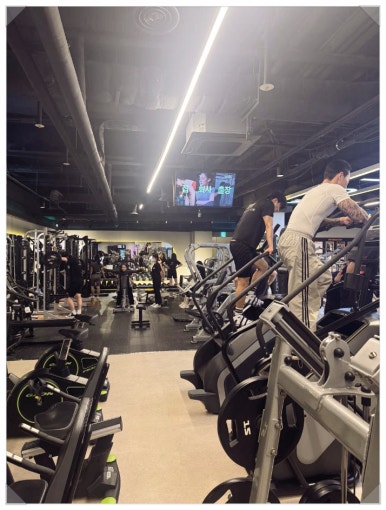 트랜스핏짐 이미지