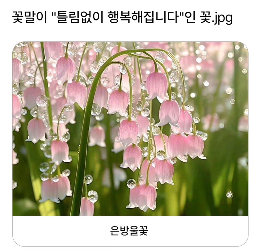 야미야미 이미지