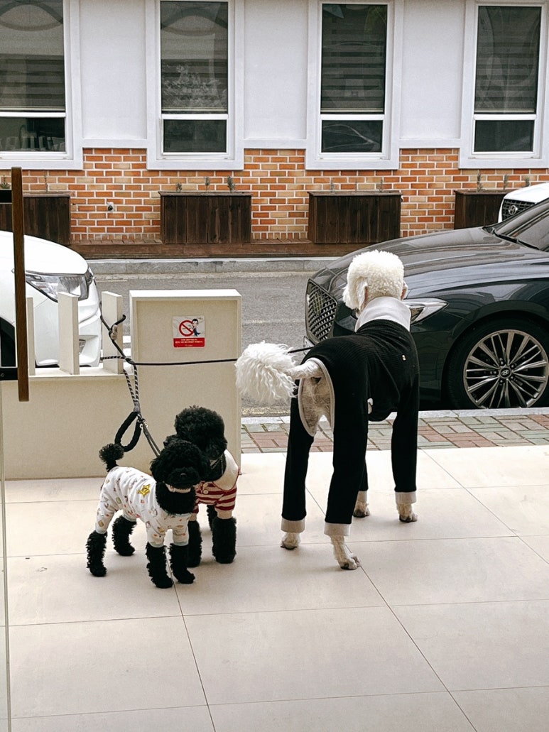 카페 르망 이미지