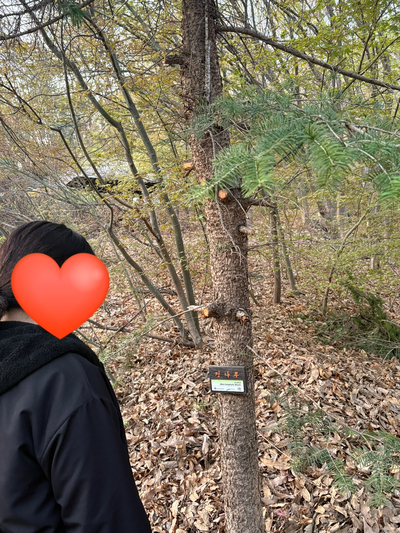 샵브리또부곡점 이미지