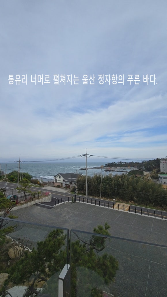 푸른바다유 이미지