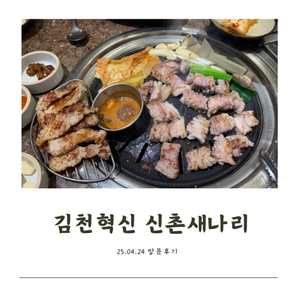 신촌새나리 이미지