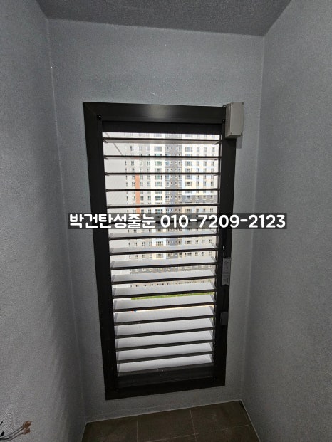 스타페인트 이미지