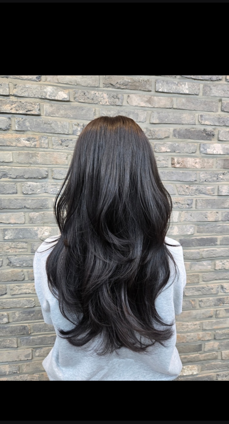 오브르헤어 이미지