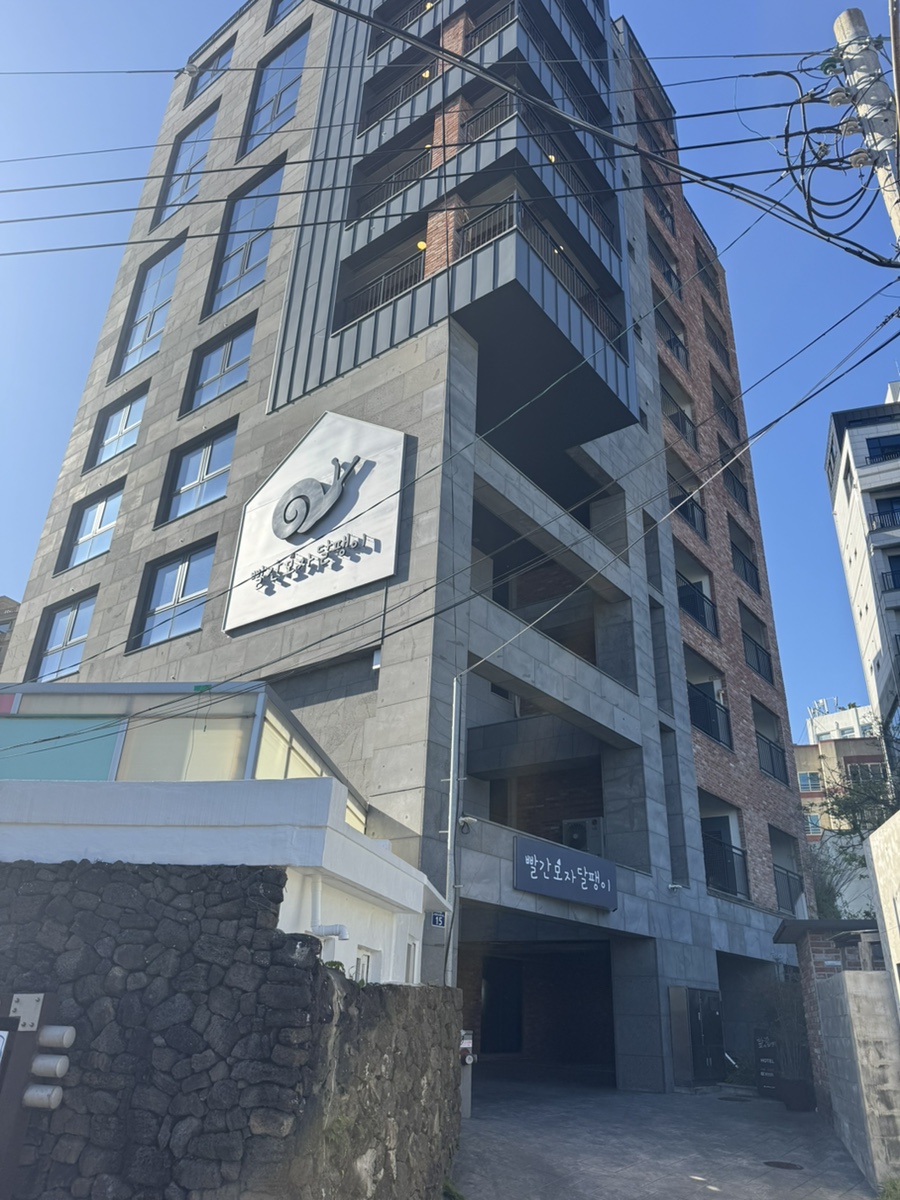 빨간모자달팽이 이미지