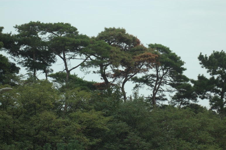 청운재 이미지