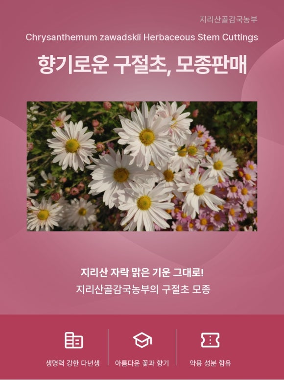 지리산골감국농부 이미지