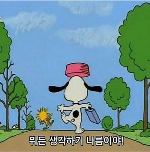 반셀 이미지