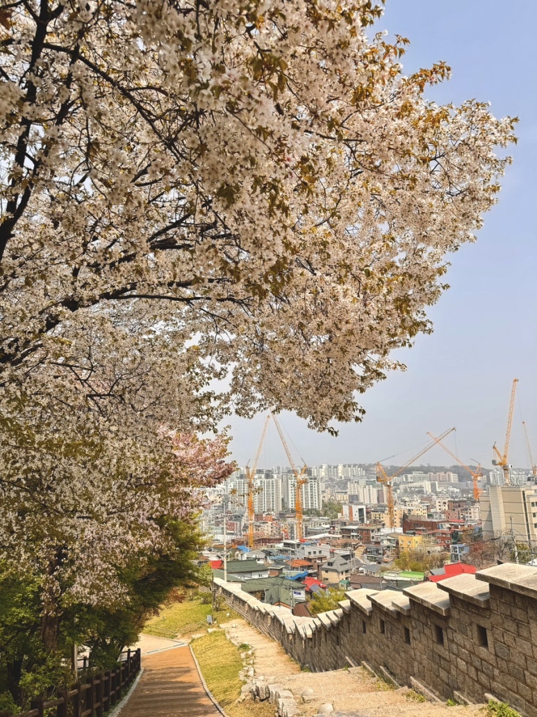콩나물국밥 사진 2