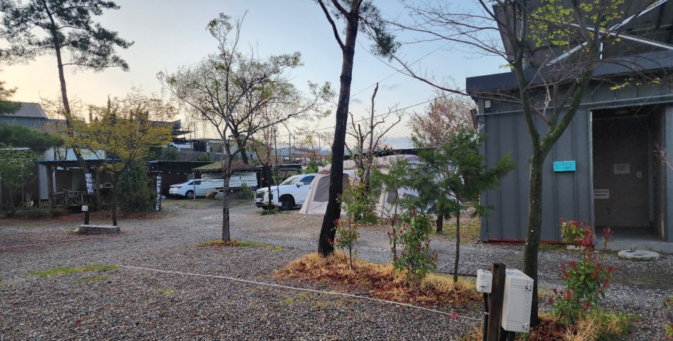 빅세일식자재마트 이미지