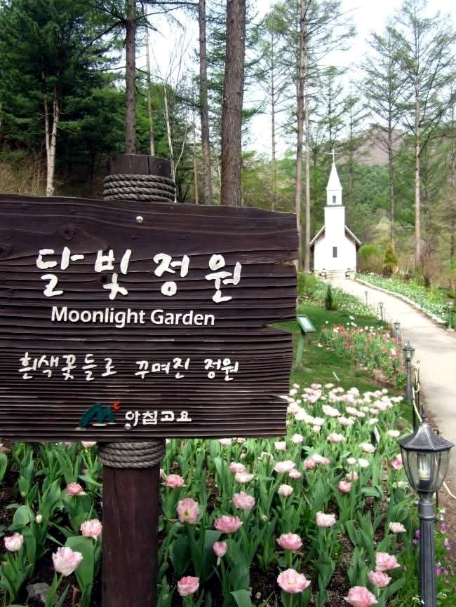 달빛,정원(Moonlight Garden) 이미지