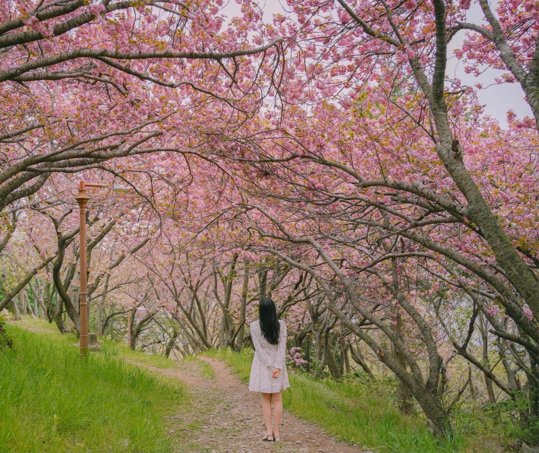 금수각 이미지