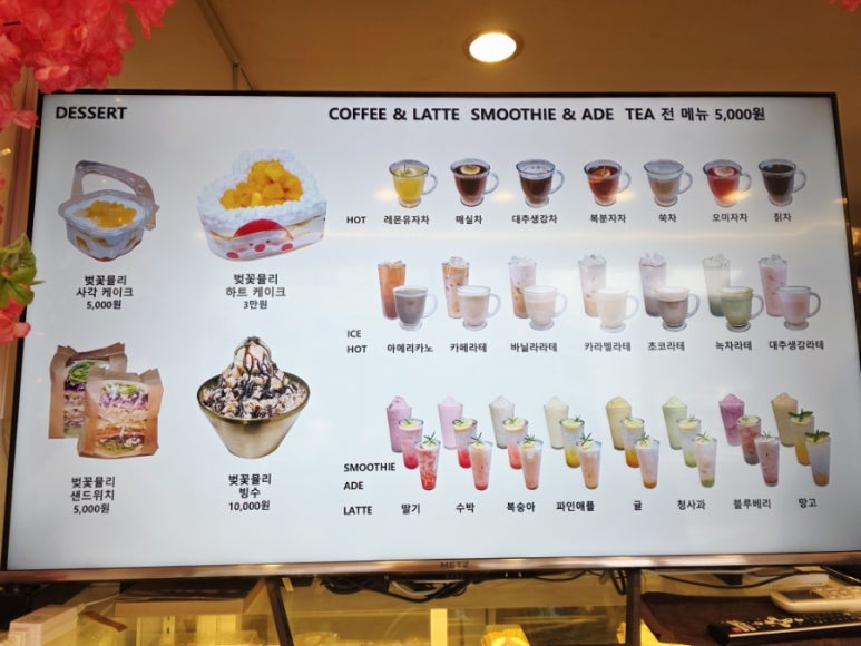 벚꽃뮬리 이미지