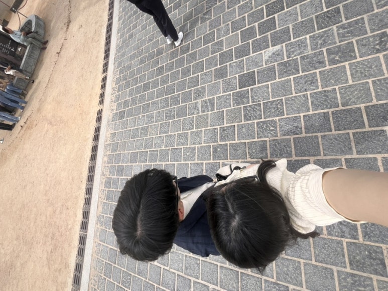 아늑감 이미지
